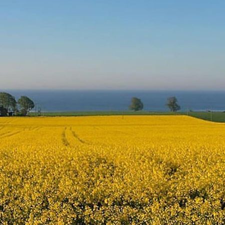 Charmig Liten Laegenhet Pa Oesterlen Sankt Olof Esterno foto